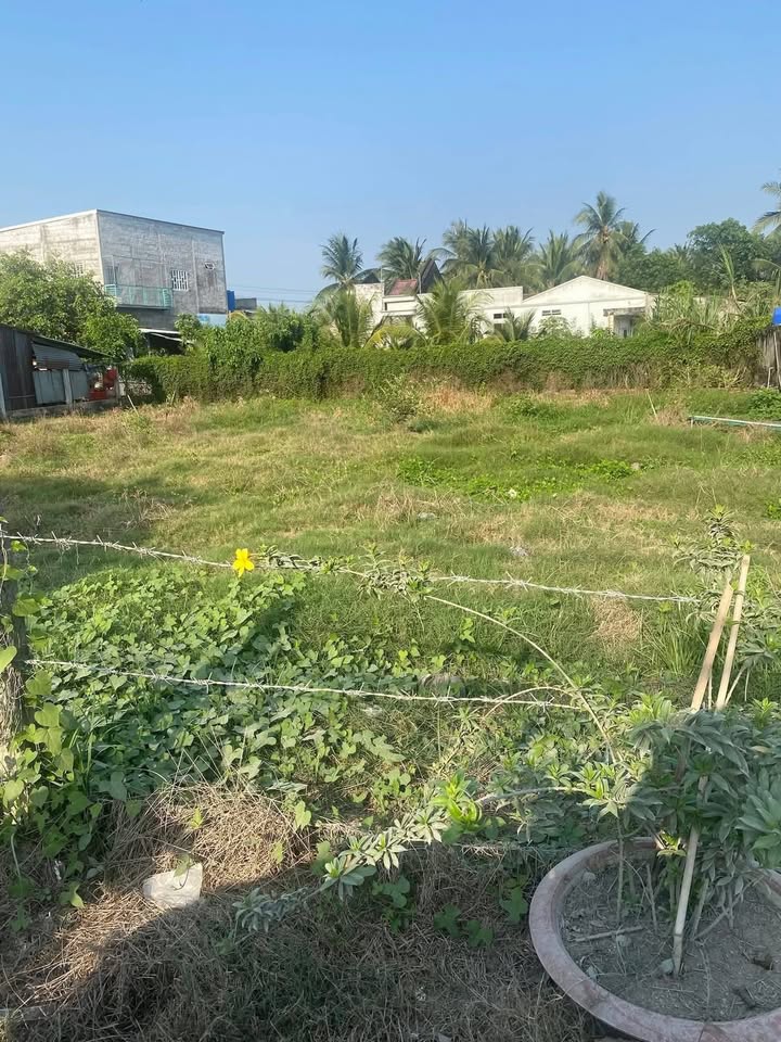 Bán Đất Thổ Cư Mặt Tiền Xe Tải, Bình Đại, Bến Tre - 126m² Giá 520 Triệu