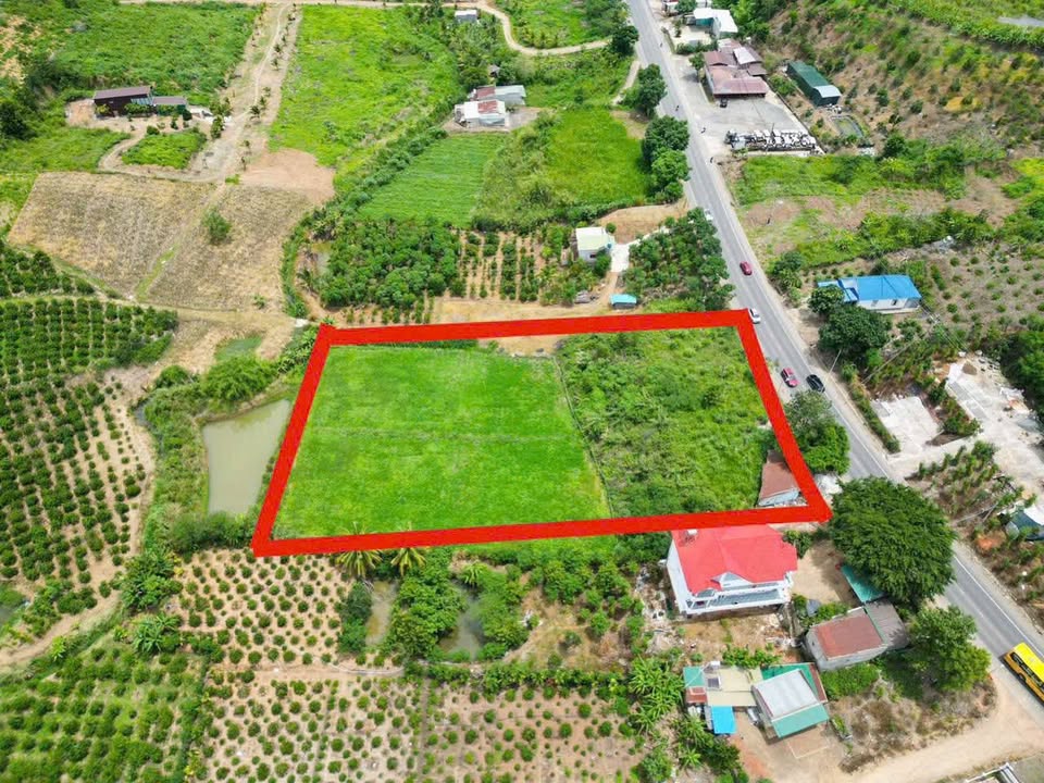 Đất Vàng Quốc Lộ 20 Đức Trọng 5000m² - Cắt Lỗ Sâu, Giá 12 Tỷ