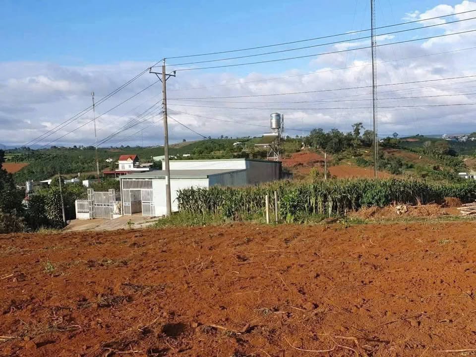 Đất Vàng Bảo Lộc: 510m² Thổ Cư Gần Cao Tốc - Giá 2.85 Tỷ