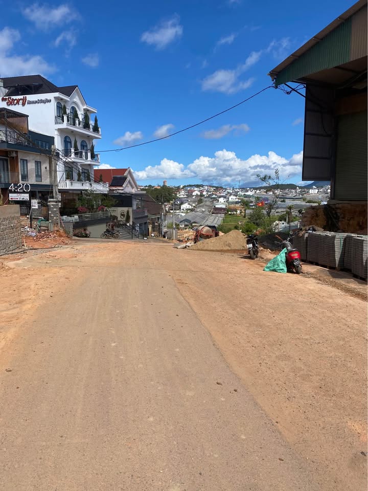 Bán Đất Mặt Tiền Lữ Gia Đà Lạt 300m² - View Rừng Thông, Tiềm Năng Vàng