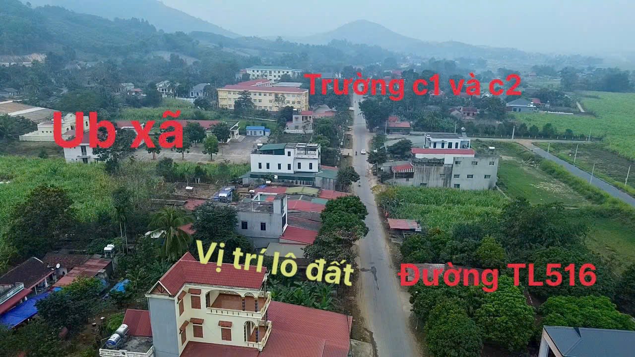 Đất Nền Mặt Tiền Tỉnh Lộ 516 - Thạch Cẩm, Thạch Thành | 130m² Thổ Cư, Kinh Doanh Sầm Uất