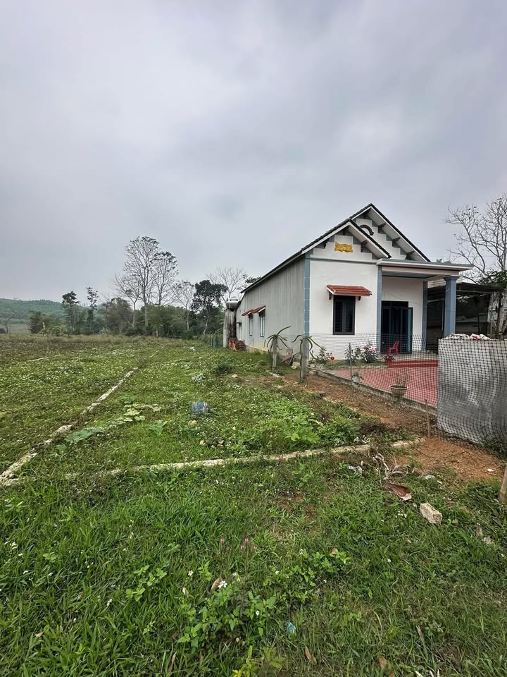 Đất nền Thạch Thành - Sổ đỏ riêng 150m² - Giá chỉ 1xx triệu/lô