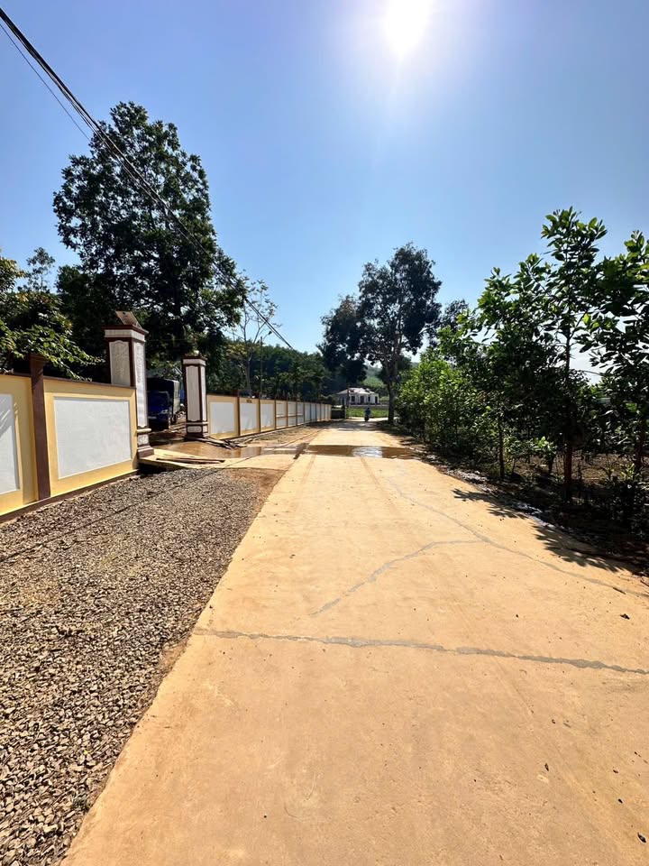 Đất Thổ Cư Lâu Dài 177m² Tại Thạch Thành, Thanh Hóa - Giá Chỉ Từ 2xx Triệu