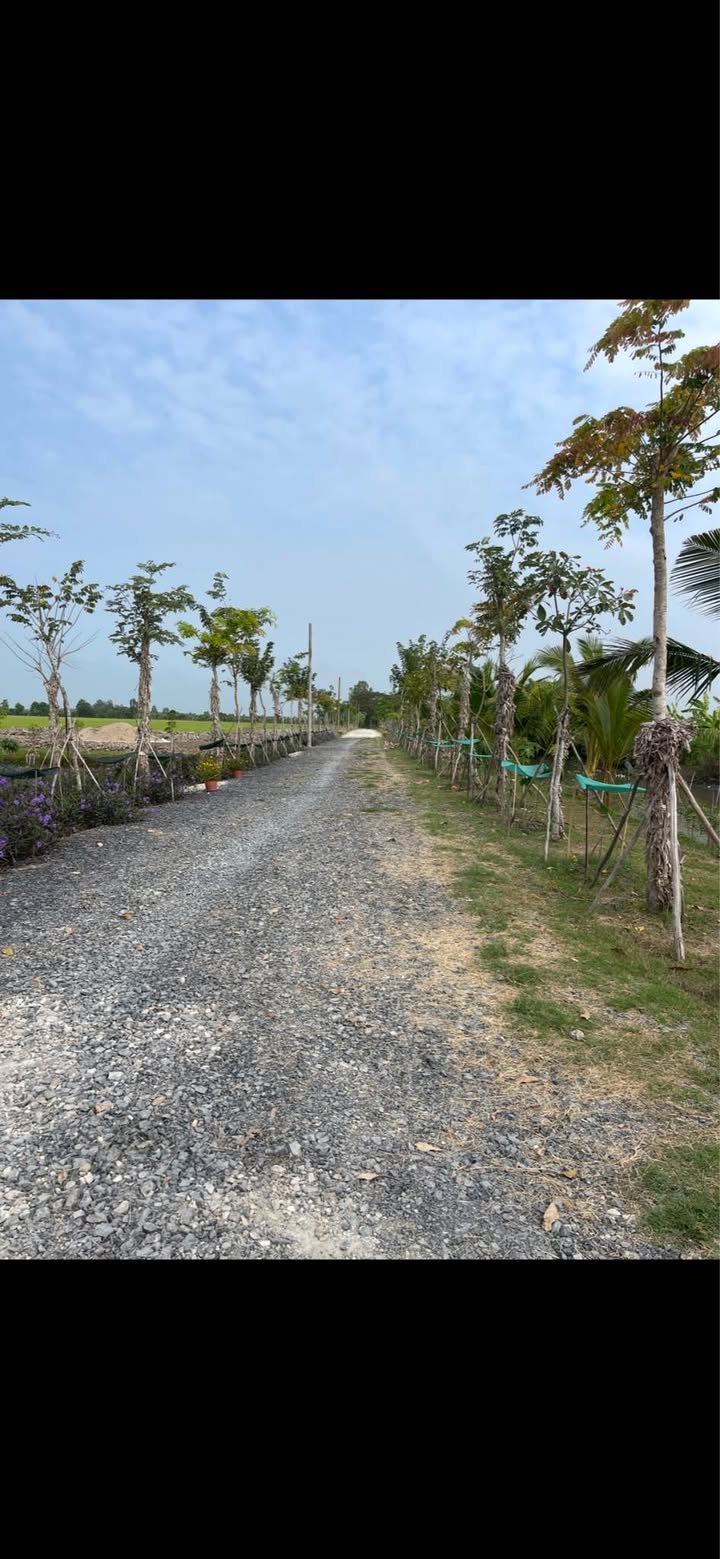 Đất Nền Phú Hòa An Giang 410m² - Sổ Đỏ Sẵn Sàng - Giá Tốt 860 Triệu