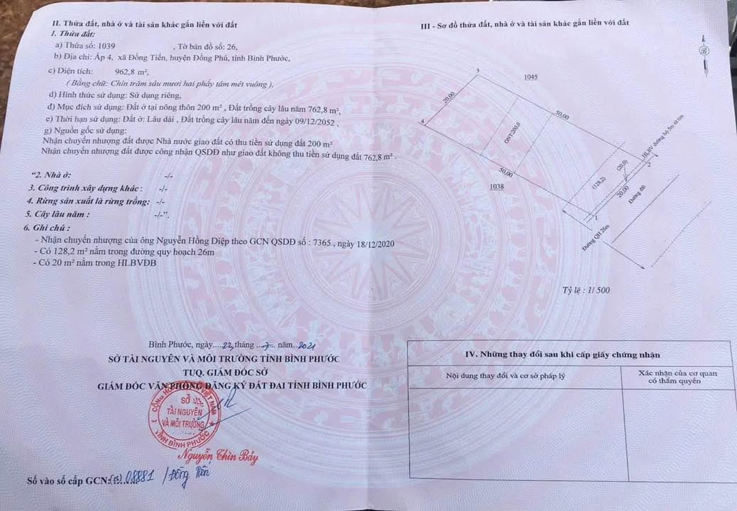 Đất Vàng Đồng Phú 1000m² Đường Nhựa - Giá Đầu Tư F0