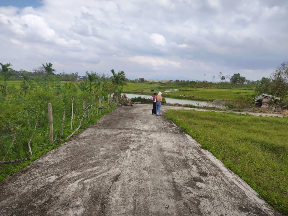 Đất Thổ Cư 241m² Thạch Hà, Hà Tĩnh - 2 Mặt Tiền, Giá Chỉ 3xx Triệu