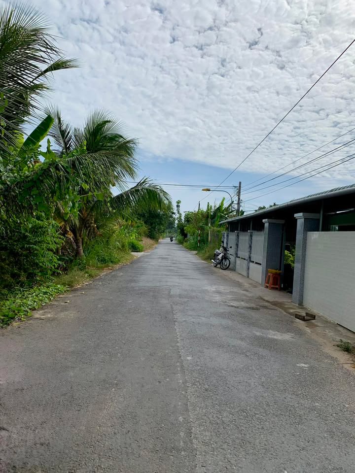 Bán Đất Vườn Mặt Tiền Huyện 90C, Cao Lãnh - Sổ Hồng Sẵn Sàng