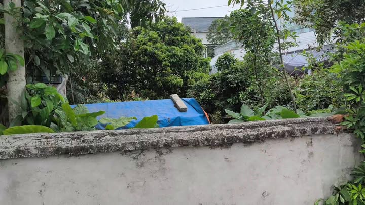 Đất Lô Góc 82m² Vĩnh Bảo, Hải Phòng - Sổ Đỏ Sẵn Sàng, Gần KCN Bình Giang