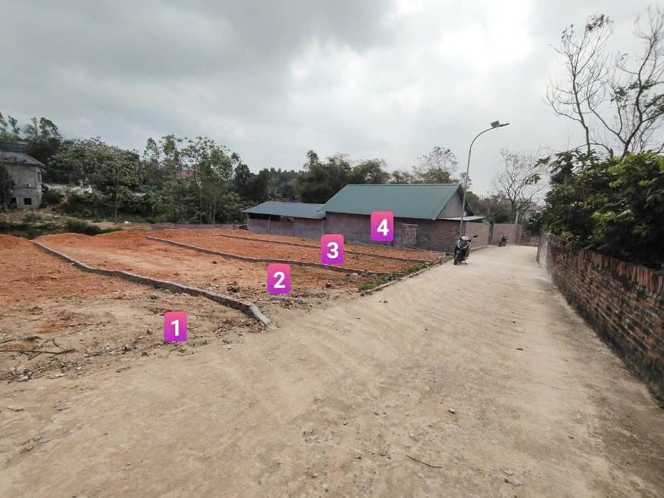 Đất nền Vĩnh Phúc - Sổ hồng 100m² tại Tam Đảo, giá chỉ từ 4xx triệu