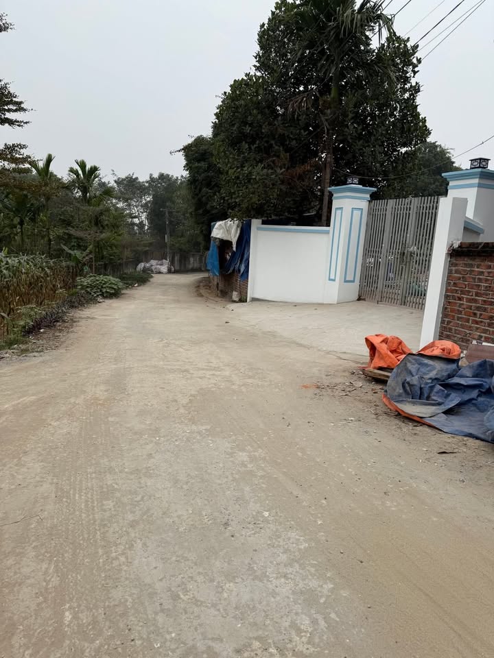 Bán đất nền 110m² Sơn Đông, Phú Thọ - Hướng Nam, Đường rộng