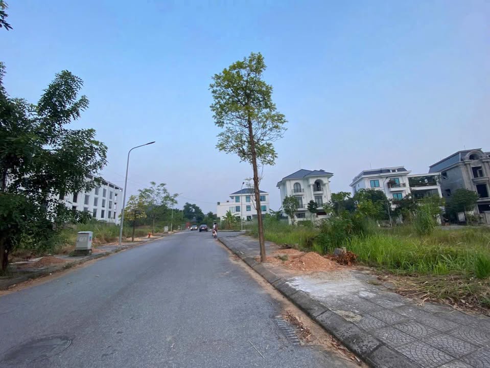 Đất Nền Park Hill Vĩnh Phúc 100m² - Sổ Đỏ Sang Tên, Giá Tốt