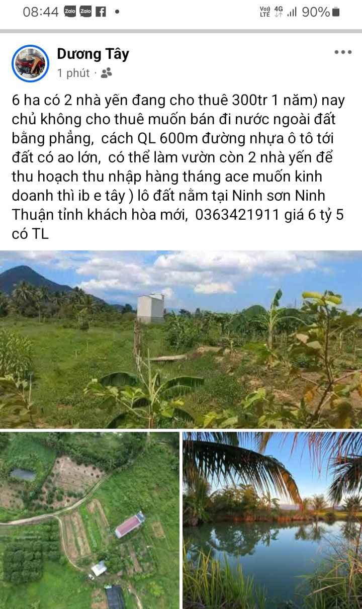 Bán 6ha Đất Vườn Ninh Thuận - Có 2 Nhà Yến Doanh Thu 300 Triệu/Năm