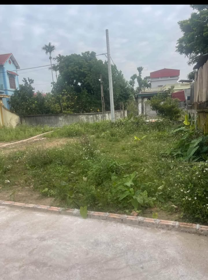 Đất Nền Hưng Yên 94m² - Sổ Đỏ Sẵn Sàng, Giá Chỉ 1 Tỷ