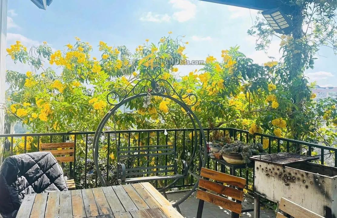 Bán Gấp Villa 239.5m² Hoàng Hoa Thám, Đà Lạt - Hẻm Oto, View Rừng Thông