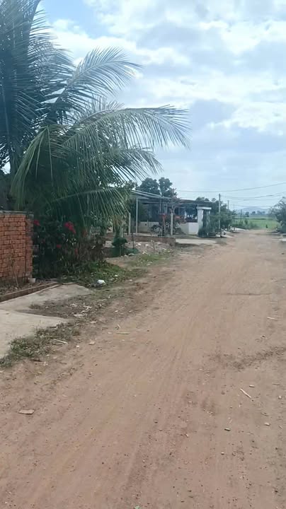 Đất Vàng Ea Sup 250m² Sổ Đỏ Thổ Cư - Giá Đầu Tư 479 Triệu