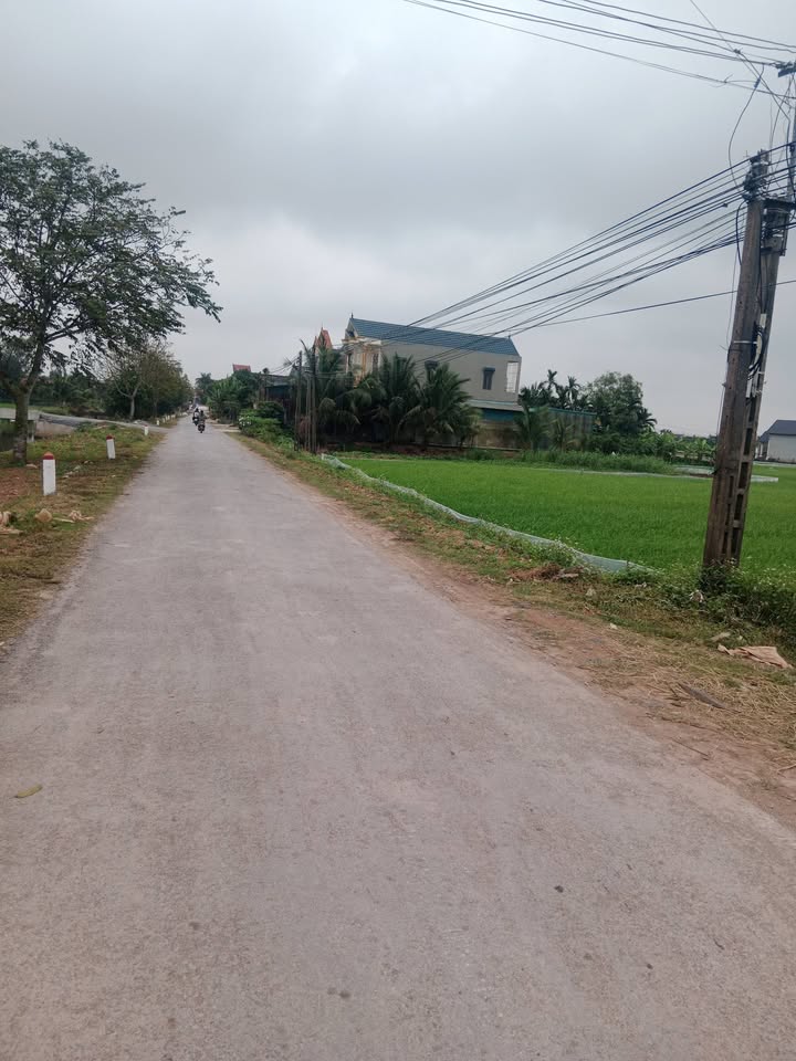 Đất Nền Nga Phú, Thanh Hóa 100m² - Giá Đầu Tư, Dân Cư Đông Đúc