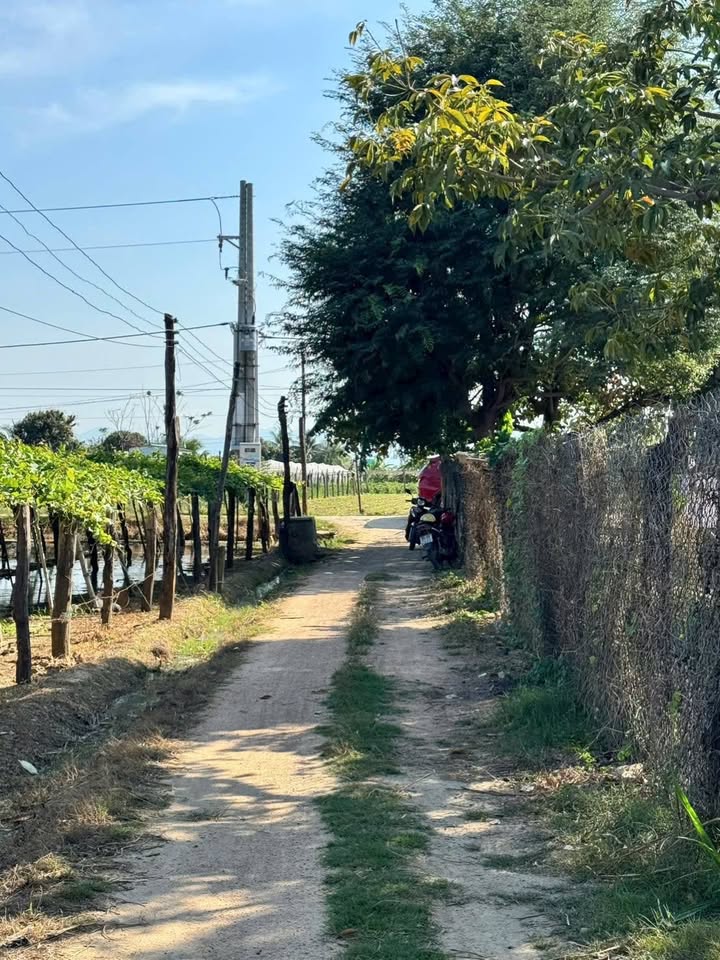 Đất Vườn Ninh Thuận 938m² - Giá Tốt, Vuông Vức, Gần Trung Tâm