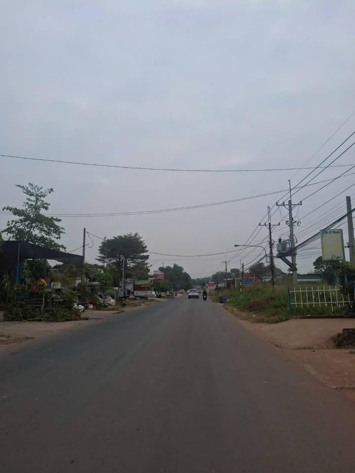 Bán Đất 1.2ha Mặt Tiền ĐT 749A Bến Cát - Sẵn Sổ Hồng