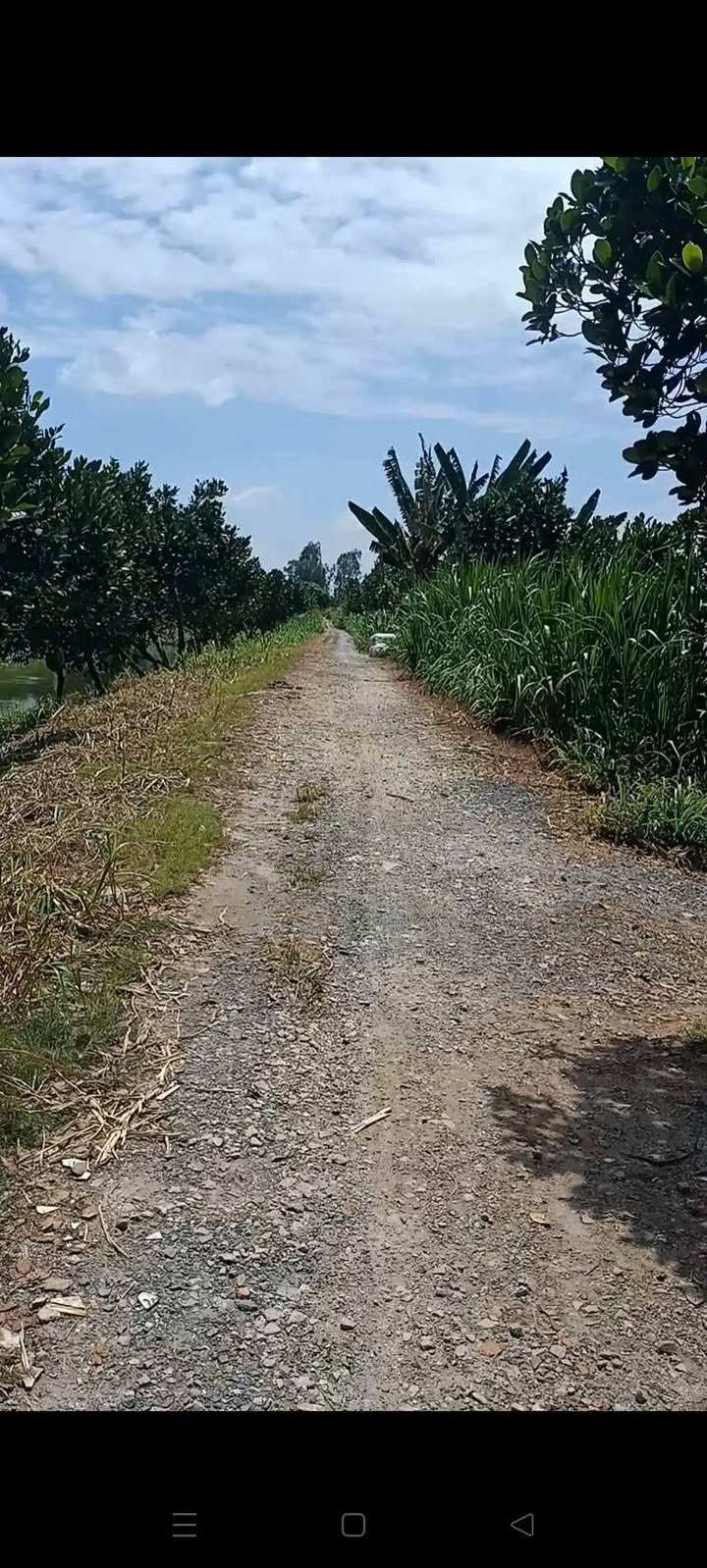 Đất nền Mỹ Luông 2625m² 530tr/1000m² - Pháp lý rõ ràng