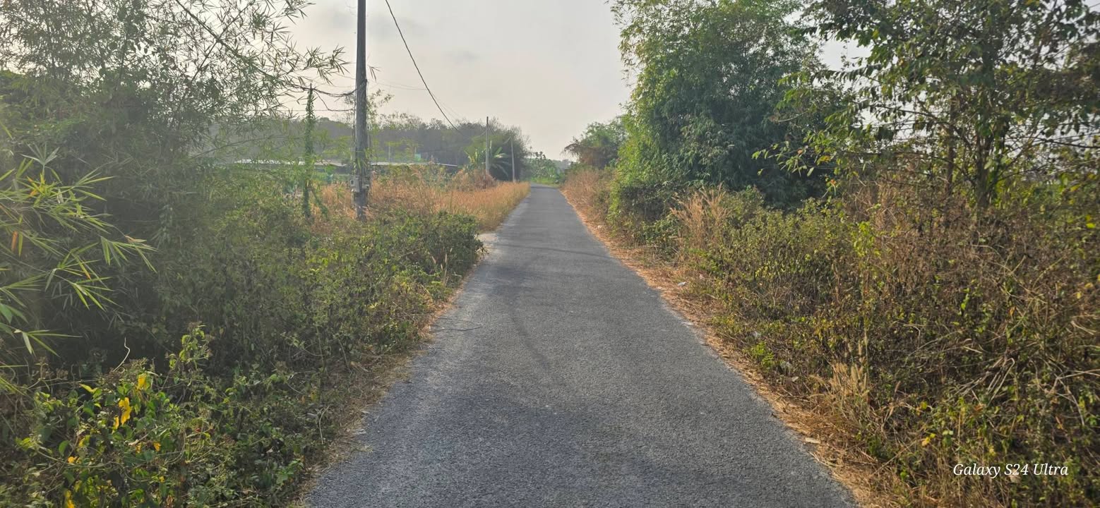 Bán Đất Vườn An Nhơn Tây Củ Chi 1207m² - Sổ Hồng Riêng, Giá 3.6 Tỷ