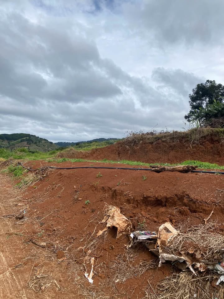 Đất Nền Đà Lạt 1000m² - Sổ Riêng, View Đồi Đỉnh Cao