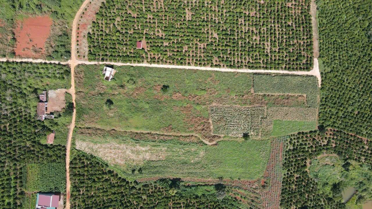 Đất Nền Đà Lạt 15000m² - Mặt Tiền 300m, Full Thổ Cư, View Đẹp