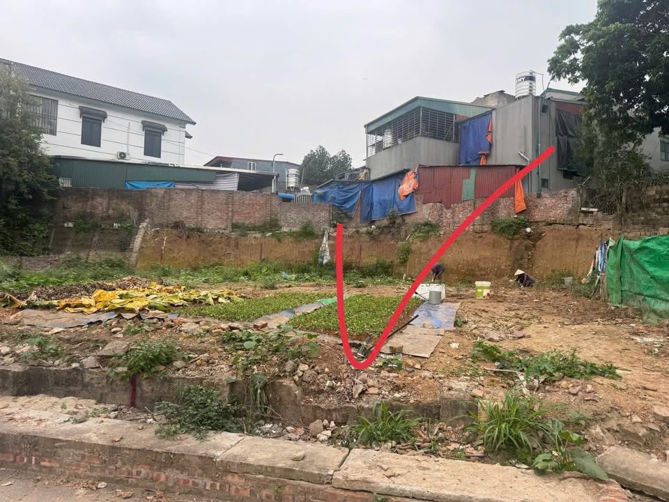 Bán đất thổ cư 97.2m² đất vuông vắn, đường ô tô tránh tại Việt Trì