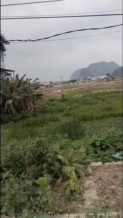 Đất nền Phường Trung Sơn, Sầm Sơn 100m² - Vị trí đắc địa, kinh doanh sầm uất