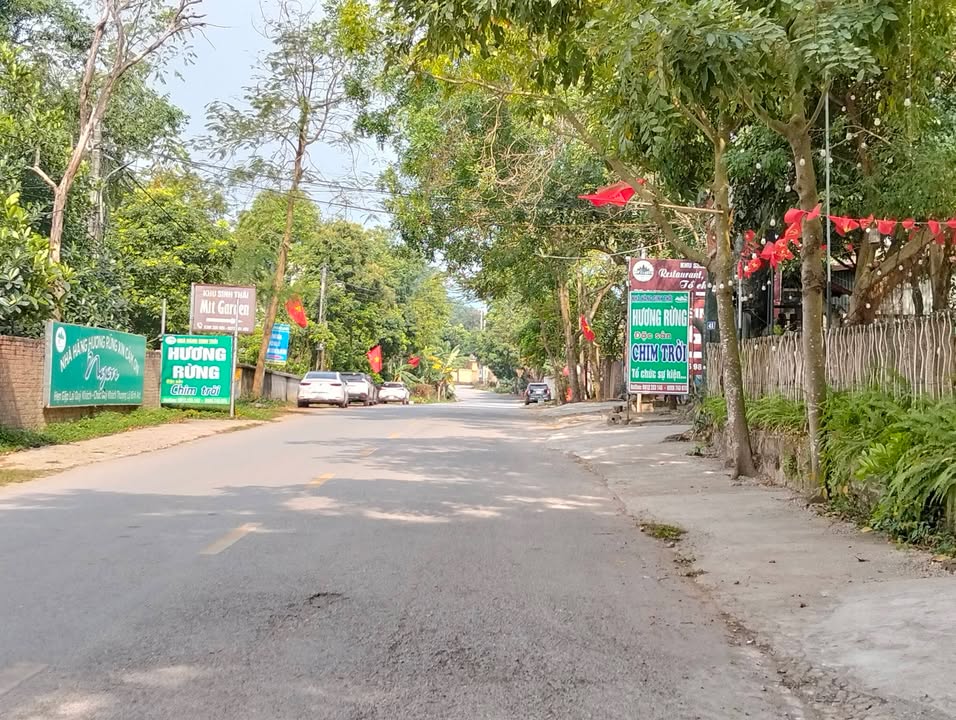 Đất Sóc Sơn 469m² Mặt Tiền Kinh Doanh - Giá Đầu Tư Hấp Dẫn