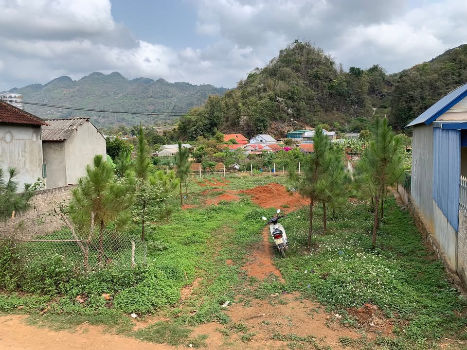 Đất nền Mộc Châu 1079m² - Sổ đỏ thổ cư, gần chợ, Rừng thông