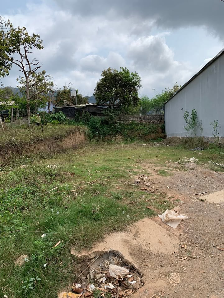 Bán Đất Mộc Châu 257m² - Sổ Đỏ Thổ Cư, Gần Cầu Kính