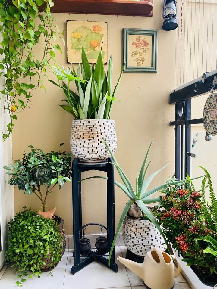 Căn Hộ Góc 122m² Phúc Yên, Gò Vấp - Sổ Hồng, Giá 5.3 Tỷ