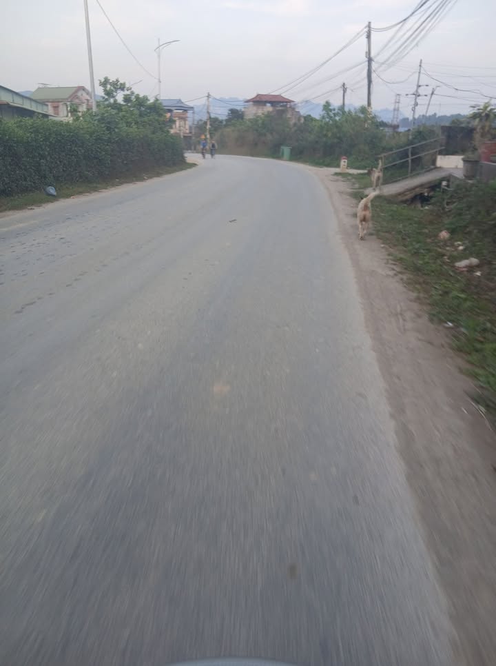 Đất nền 120m² mặt đường KM8, Cao Bằng - Giảm sâu chỉ 1.42 tỷ