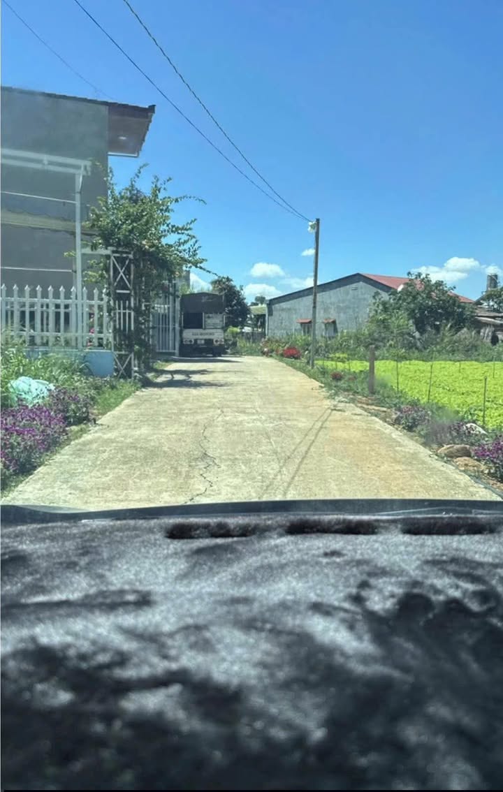 Bán Đất Đức Trọng 269m² - Sổ Hồng Sẵn Sàng, Vị Trí Đẹp