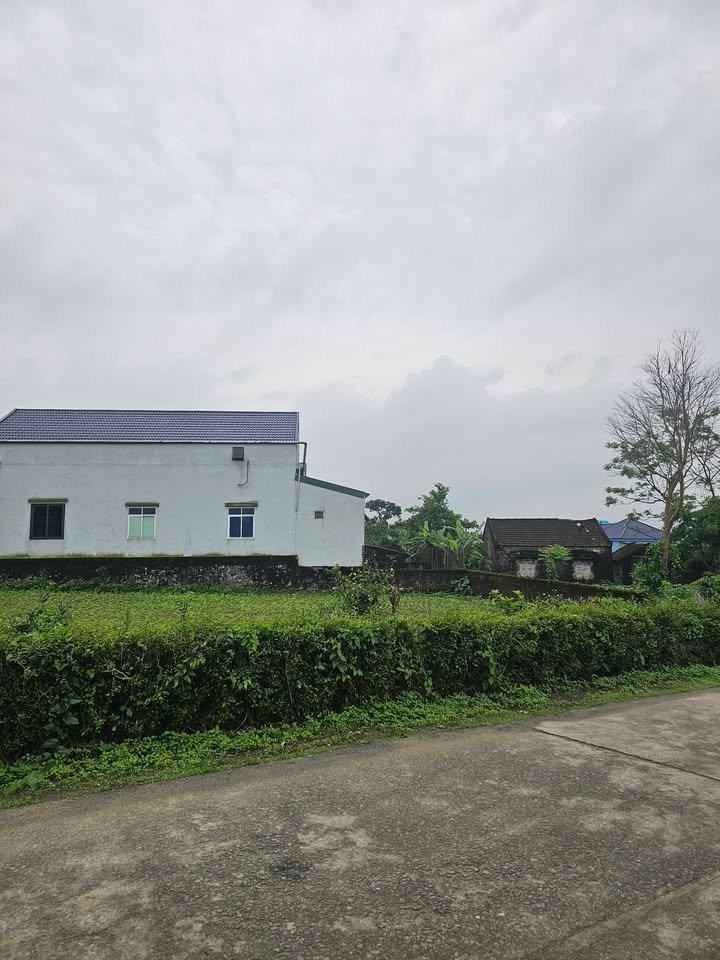 Đất Sổ Hồng 246m² Hướng Bắc - Kỳ Hoa, Kỳ Anh: Đầu Tư Sinh Lời Vượt Trội