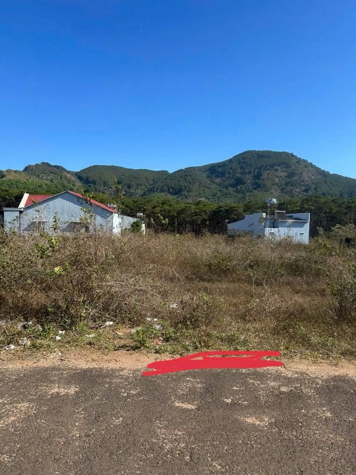 Đất Nền Gia Lai - 138m² Full Thổ Cư, Sổ Hồng Riêng, Giá 1.45 Tỷ