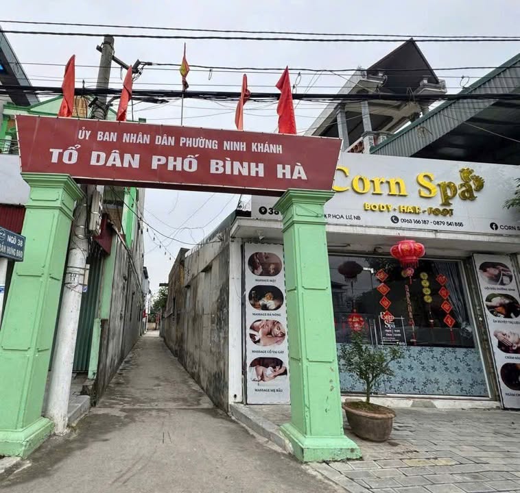 Bán 2 Lô Đất Liền Kề 98m² Đường Trần Hưng Đạo, Hoa Lư - Giá 3 Tỷ