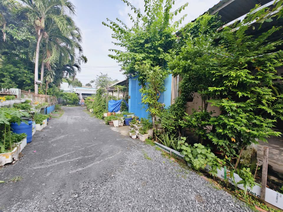 Nhà 3 Tầng Hẻm Xe Hơi Đường Số 6 Linh Trung Thủ Đức - 129m² - 10 Tỷ