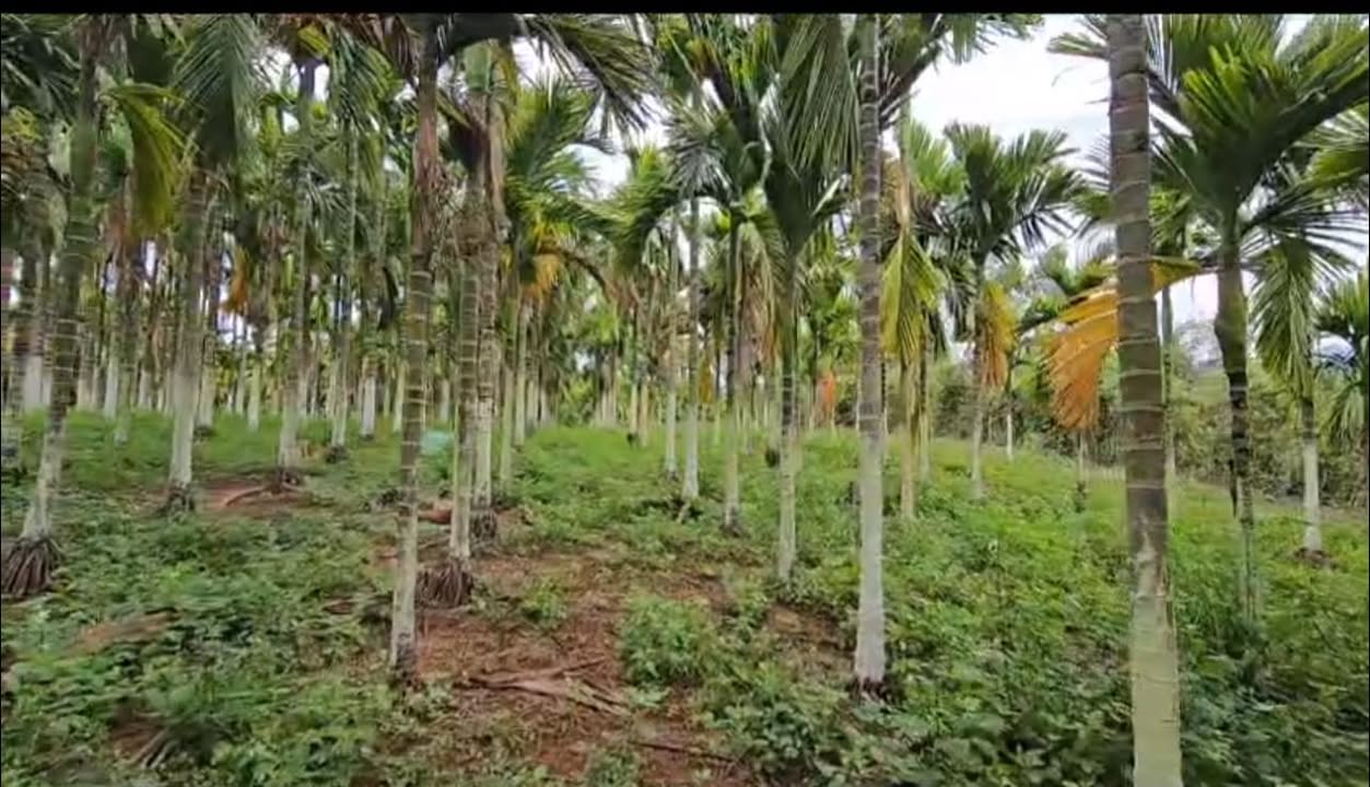 Đất nền Thôn Thác An Lạc 3.753m2 dưới 1 tỷ - Sổ đỏ chính chủ