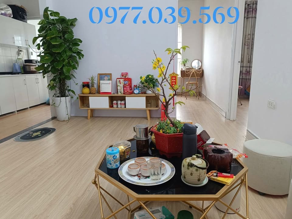 Chung cư D789 Đặng Xá 49.6m² 2PN - Tầng cao thoáng mát, sẵn ở ngay!