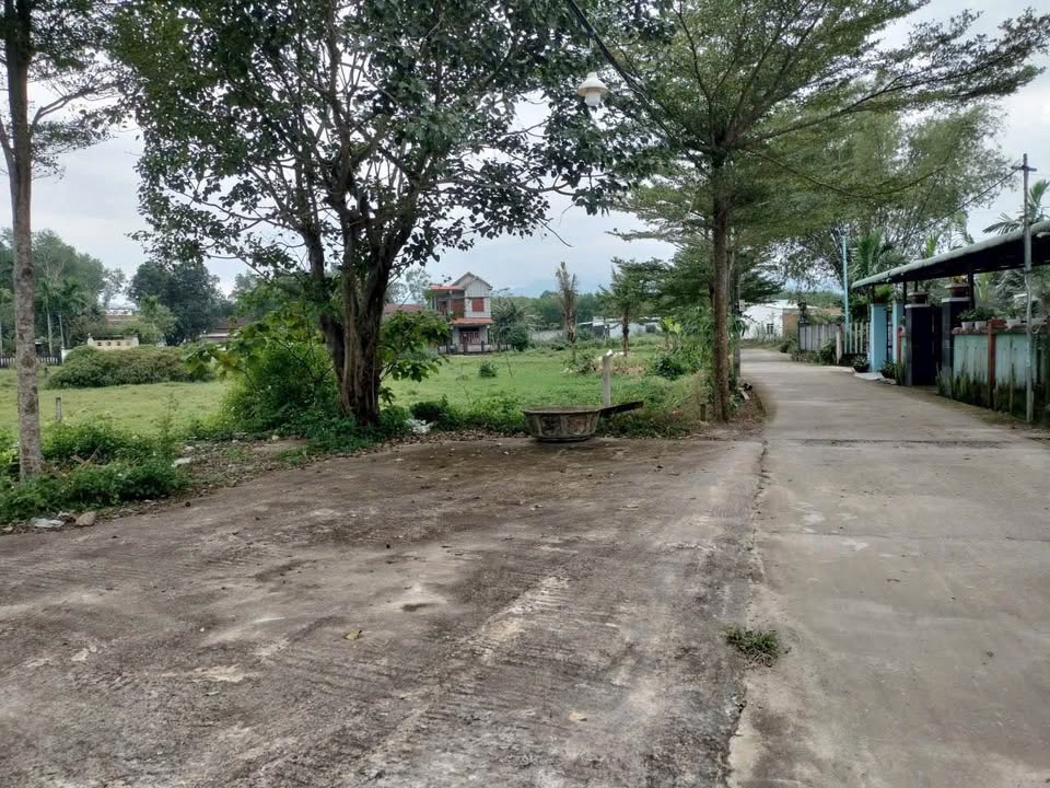 Đất Vườn Đắk Nông 1000m² Giá Chỉ 9xx Triệu - Sổ Đỏ Sẵn Sàng