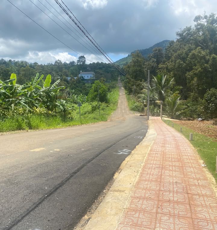 Đất Nền Thổ Cư Mặt Tiền Đường Chi Lăng, Bảo Lộc - 980 Triệu/Lô