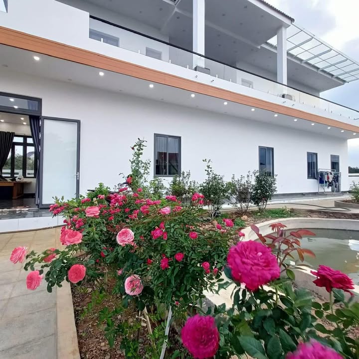 Biệt Thự Nghỉ Dưỡng Lâm Hà 700m² - Sổ Hồng Sẵn Sàng - Giá 3.7 Tỷ