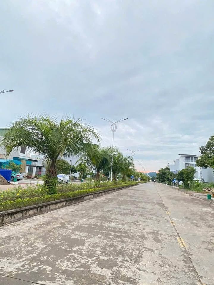 Đất nền Móng Cái 90m² mặt đường đôi Trần Nhật Duật - Hướng Bắc, tiềm năng sinh lời cao