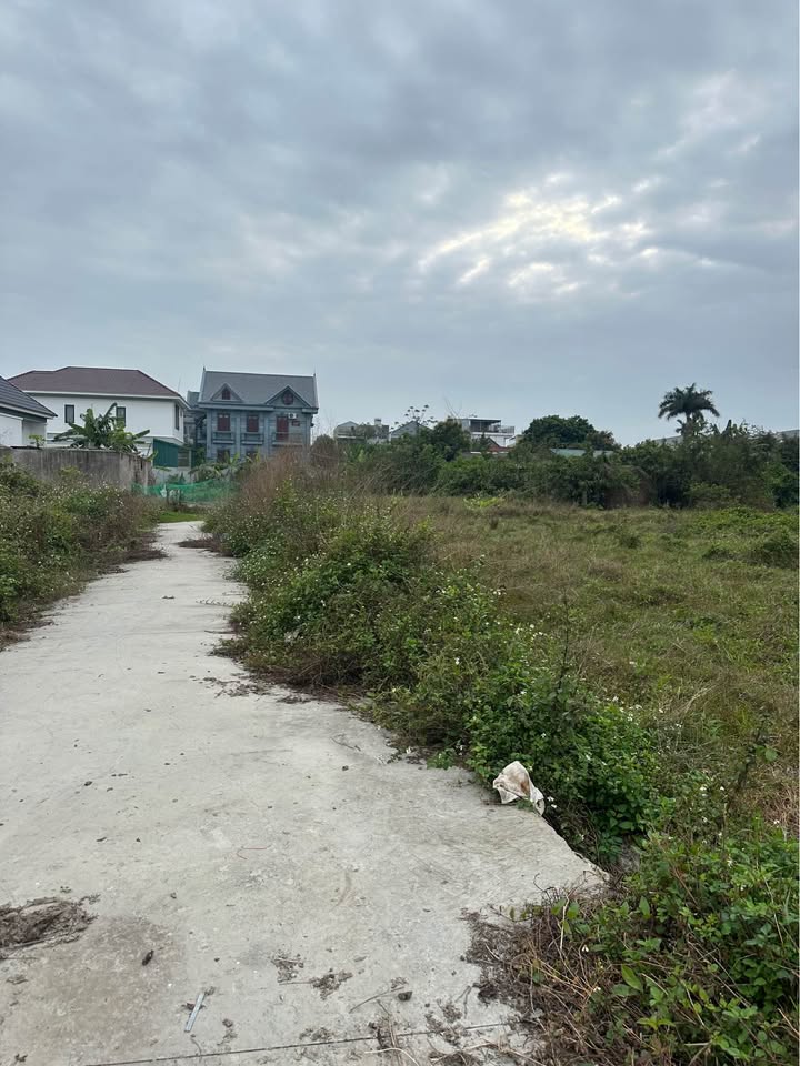 Đất nền Hải Xuân Móng Cái 98m² 1.3 tỷ - Sổ đỏ chính chủ