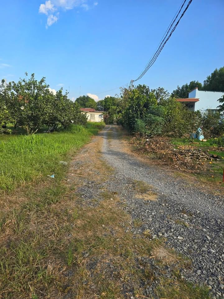 Đất nền Tân Phong, Biên Hòa 74m² - Sổ đỏ thổ cư, giá 650 triệu