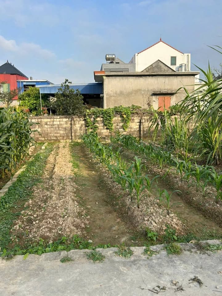 Đất Nền Thủy Nguyên 60m² - Sổ Đỏ Chính Chủ Giá Hơn 900 Triệu