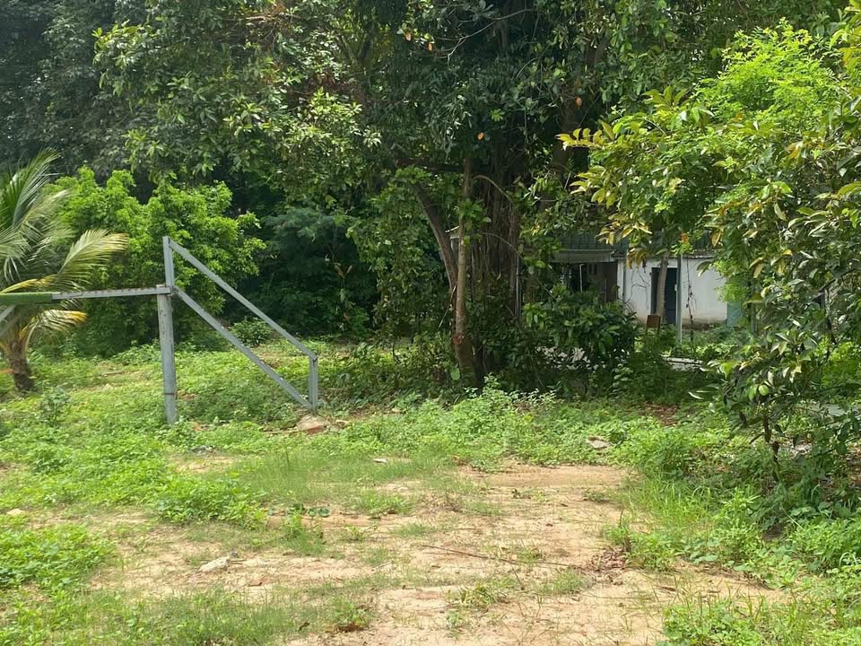 Đất Vườn Ven Sông Biên Hòa 9600m² - Sổ Riêng, Giá Tốt