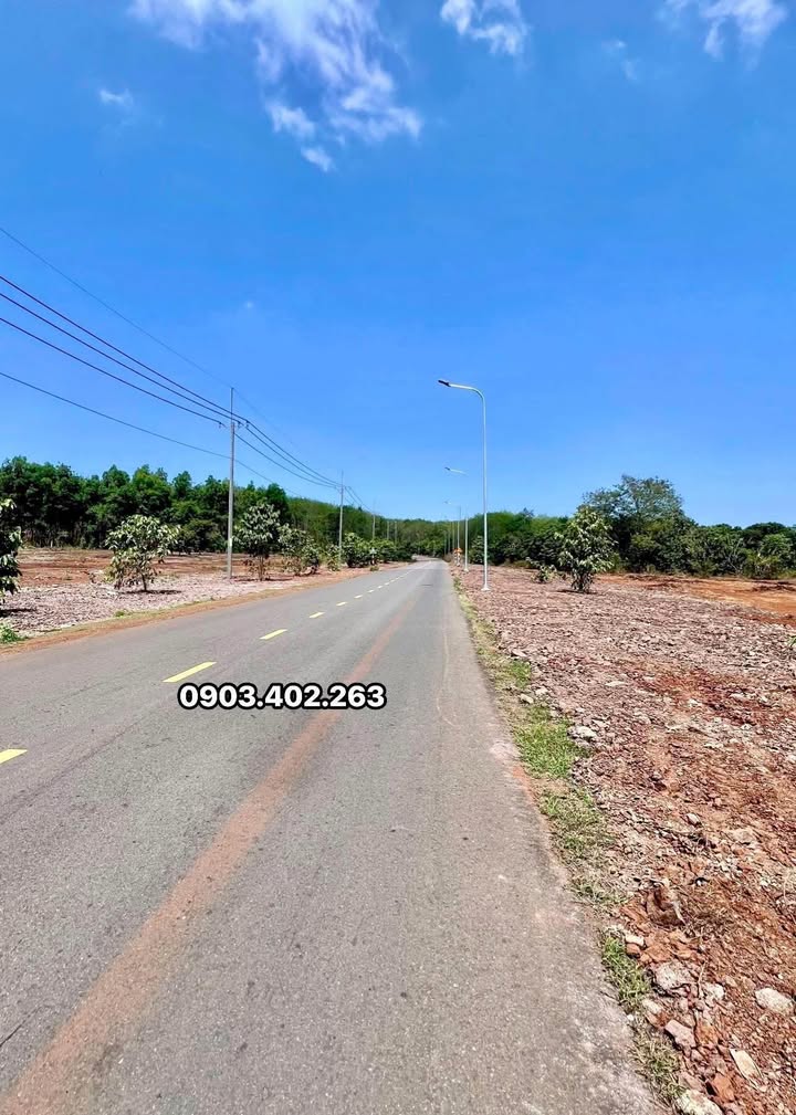 Bán Đất Mặt Tiền Quốc Lộ 20, Đồng Nai - 290m² Thổ Cư, Sẵn Sổ Hồng