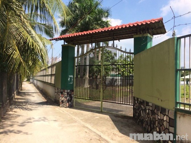 Đất nền 2018m² Bình Phú, Bến Tre - 2 Mặt Tiền, Sẵn Nhà Thủy Tạ